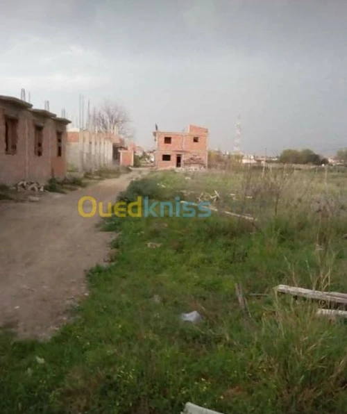 Vente Terrain Alger Sidi moussa