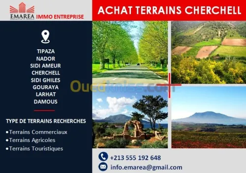 Vente Terrain Tipaza Cherchell