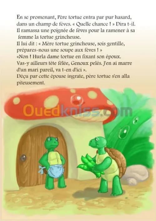 EDITION   ILLUSTRATIONS IMPRESSION