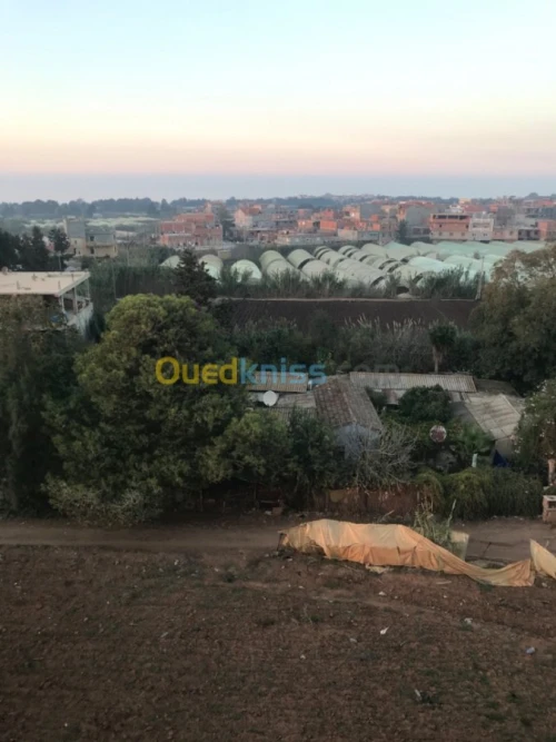 Vente Villa Tipaza Fouka