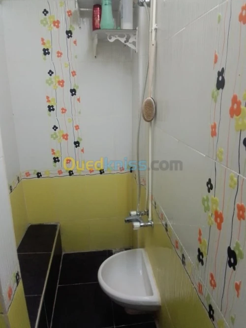 Vente Appartement F3 Ain defla Miliana
