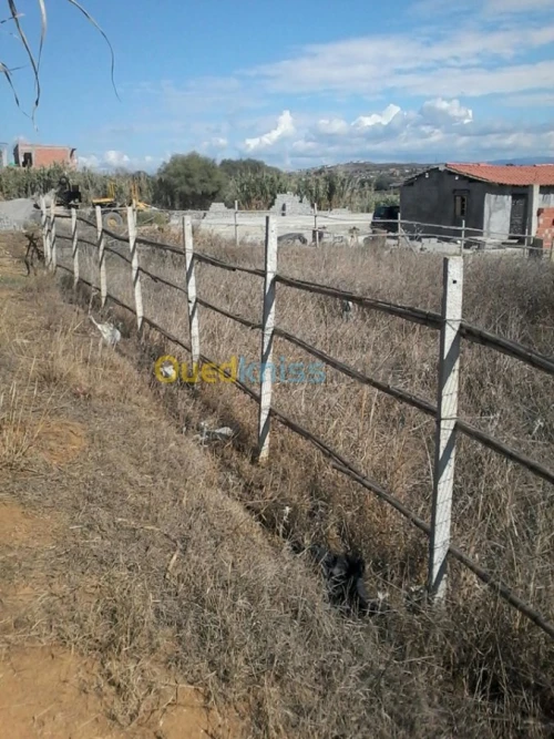 Location Terrain Agricole Boumerdes Zemmouri
