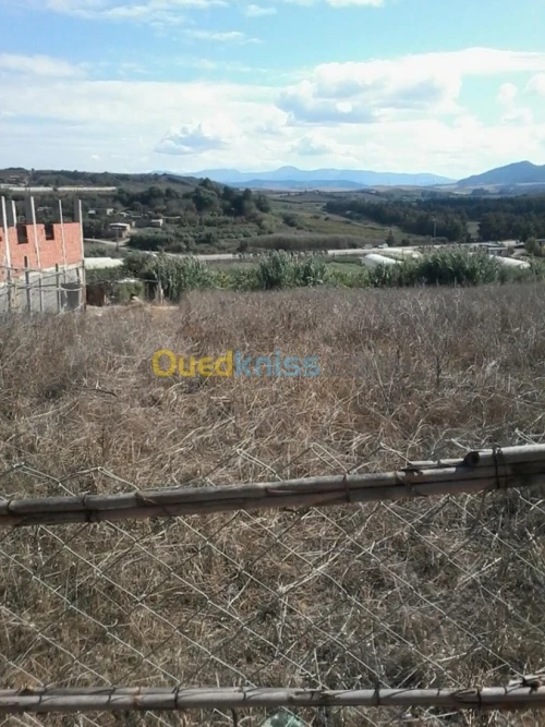 Location Terrain Agricole Boumerdes Zemmouri
