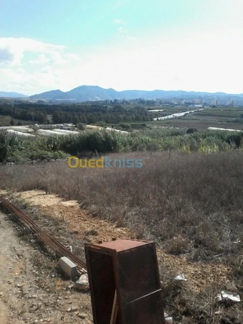 Location Terrain Agricole Boumerdes Zemmouri