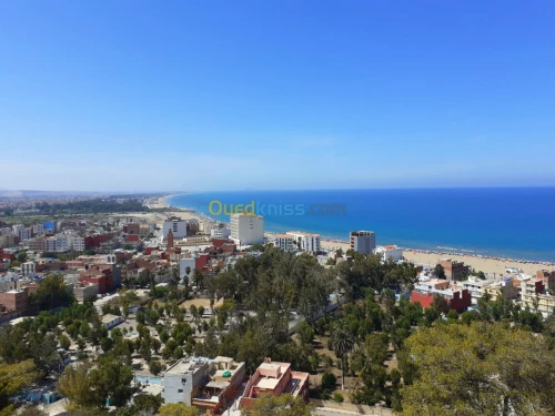 Vente Carcasse Tlemcen Marsa ben mhidi