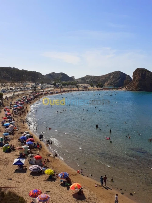 Vente Carcasse Tlemcen Marsa ben mhidi