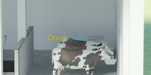 Etudes , Conception de projet agricole