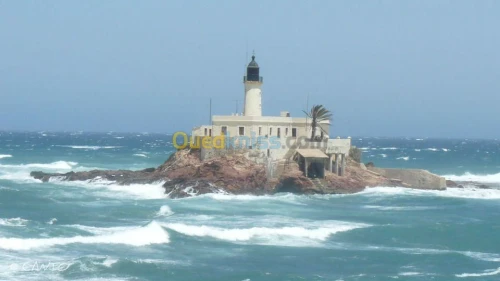 Location Villa Oran Arzew