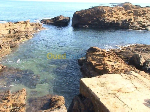 Location Villa Oran Arzew