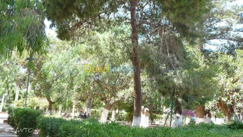 Location Villa Oran Arzew