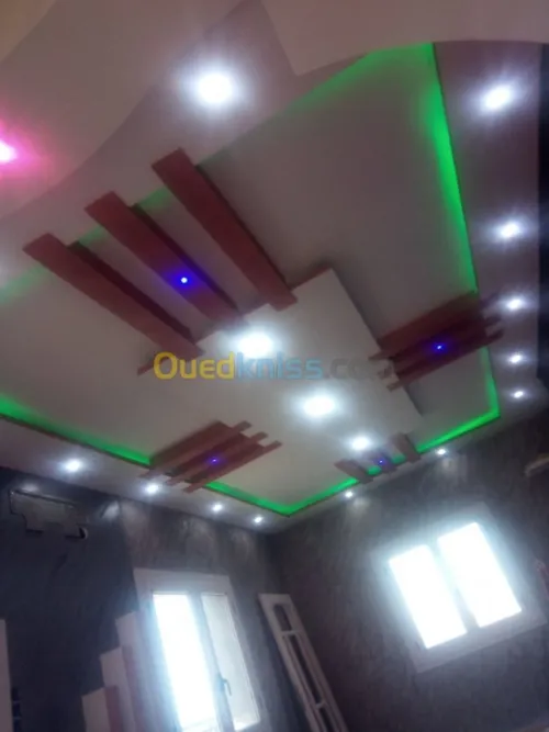   travaux peinture et placoplatre 