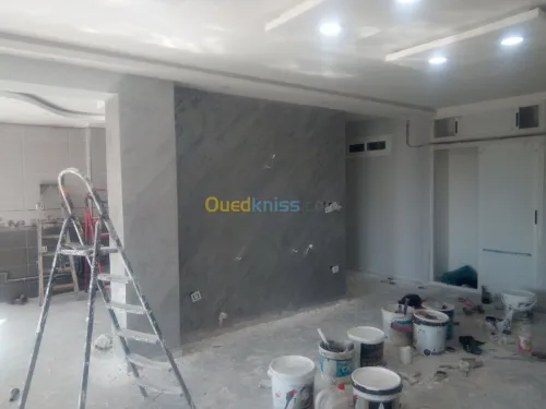   travaux peinture et placoplatre 