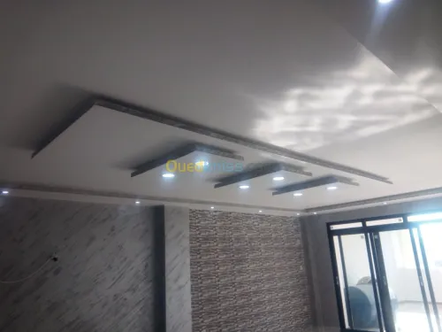   travaux peinture et placoplatre 