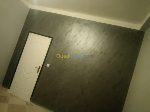   travaux peinture et placoplatre 