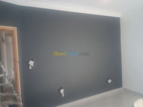   travaux peinture et placoplatre 