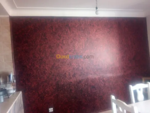   travaux peinture et placoplatre 