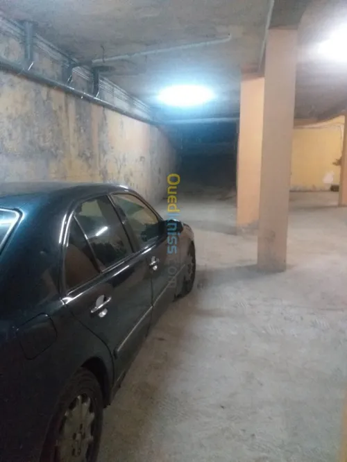 Location Local Ain temouchent Ain temouchent