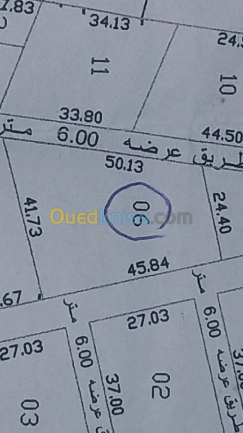 Vente Terrain Tlemcen Msirda fouaga