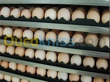 Fabrication Incubateur et Eclosoir 