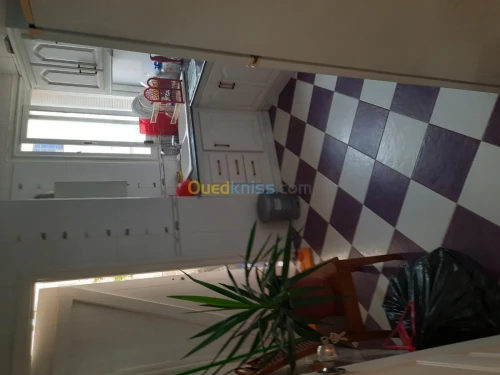 Location Appartement F3 Oran Oran