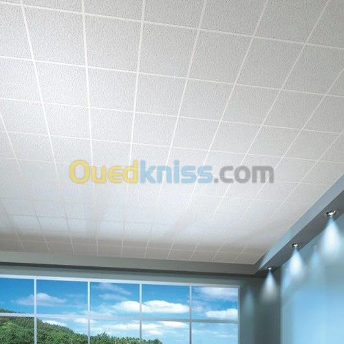 Faux Plafond démontable