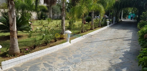 Vente Villa Alger Bordj el bahri