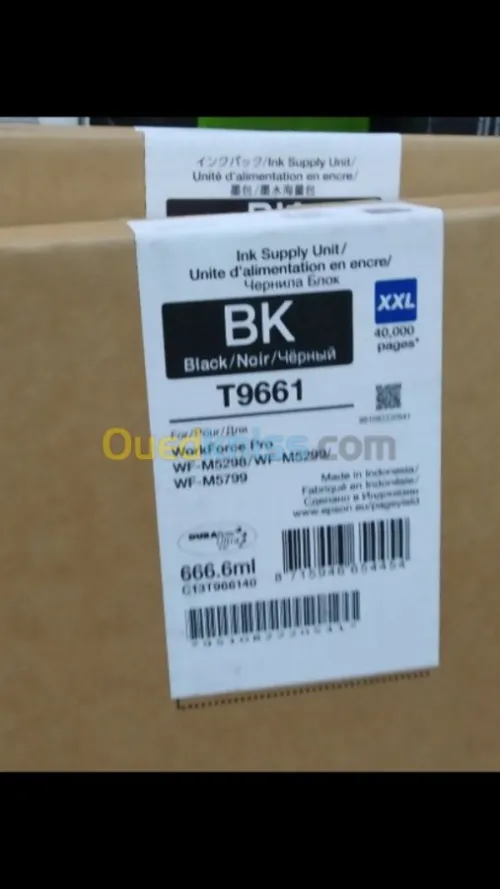 Epson work force c17590 