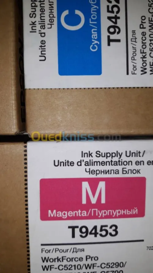 Epson work force c17590 