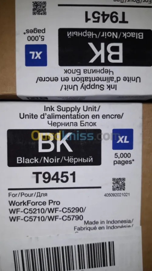Epson work force c17590 