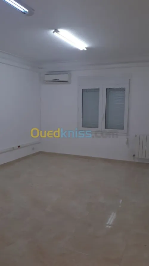 Location Villa Alger Hydra