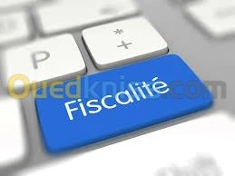commissaire aux comptes 