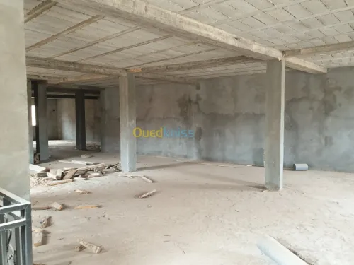 Location Local Djelfa Djelfa