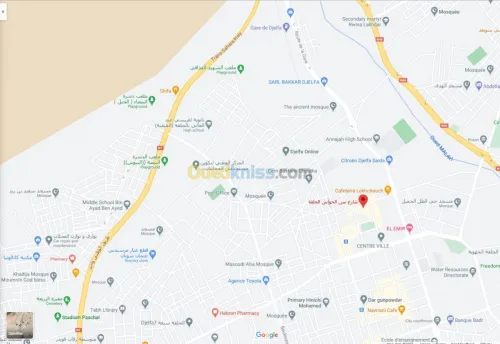 Location Local Djelfa Djelfa