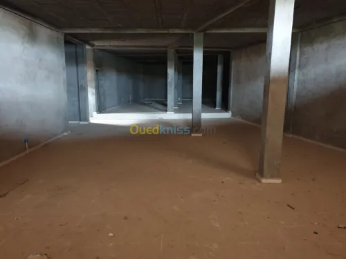 Location Local Djelfa Djelfa