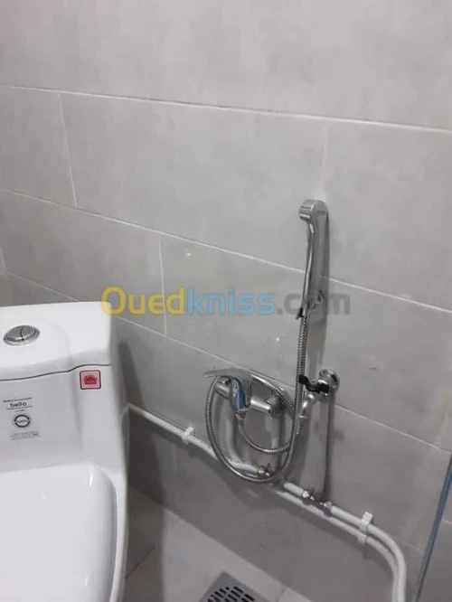 Rapide professional Expérience7/7/24