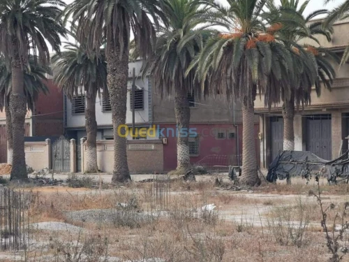 Vente Terrain Mostaganem Mezghrane