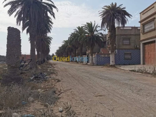 Vente Terrain Mostaganem Mezghrane
