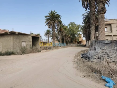 Vente Terrain Mostaganem Mezghrane
