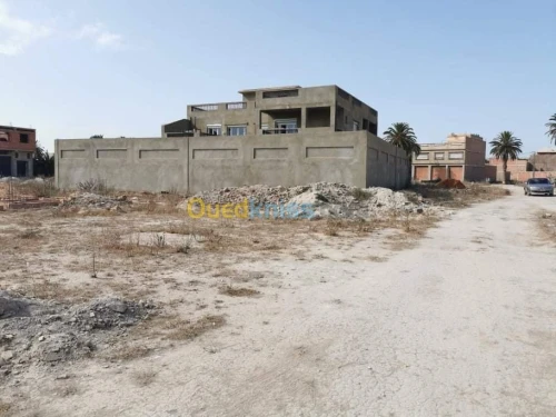 Vente Terrain Mostaganem Mezghrane