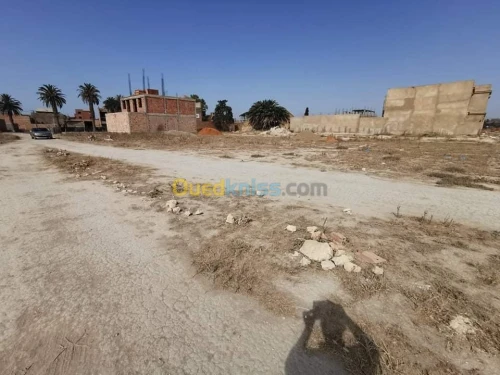 Vente Terrain Mostaganem Mezghrane