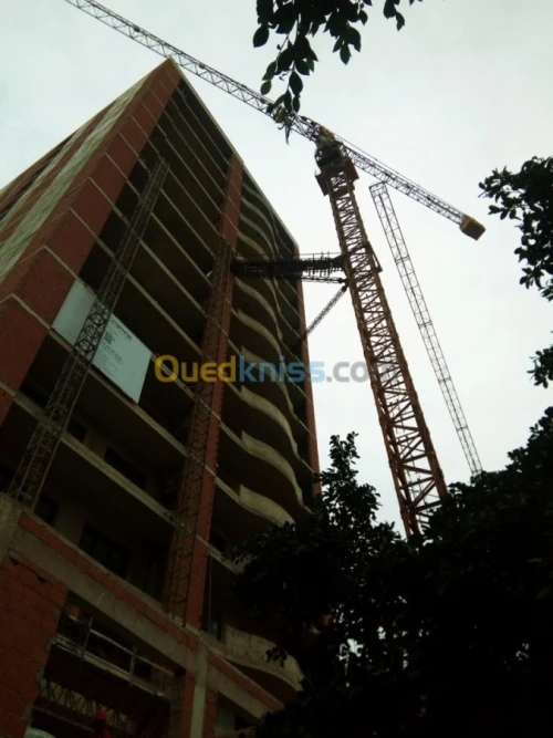 Grue à Tour Potain