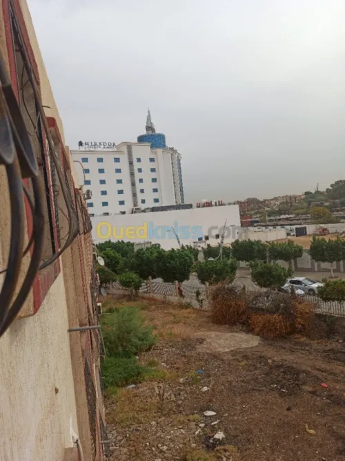 Vente Appartement F3 Chlef Chlef