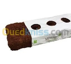 PAIN DE COCO