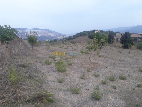 Vente Terrain Bejaia Oued ghir