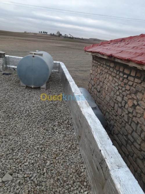 ليتونشيتي غودرو و بكس روج 