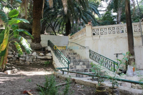 Vente Villa Alger Alger centre