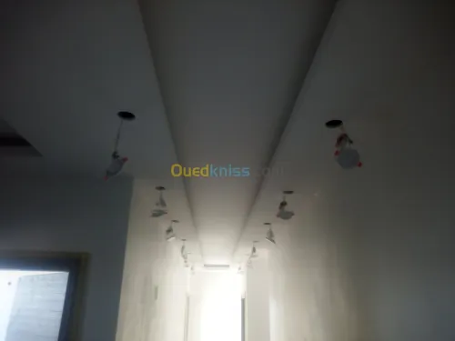 placoplatre
