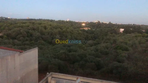 Vente Villa Alger El achour