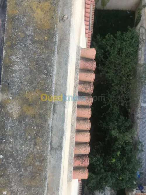 Vente Villa Alger El achour