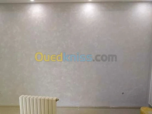 Peinture et décoration pose et fournit